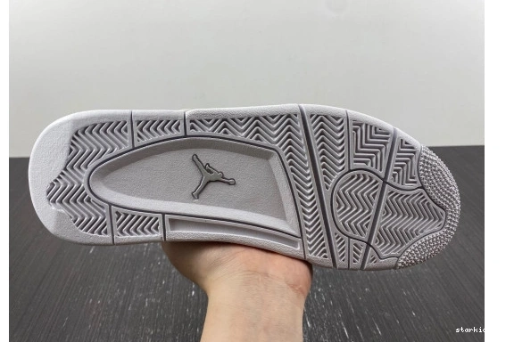 Retro  819139-030 Snakeskin Jordan  4 819139-030  0725